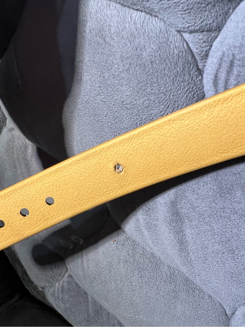 Biothane Service Dog Gear Set - Picture 3 of 3